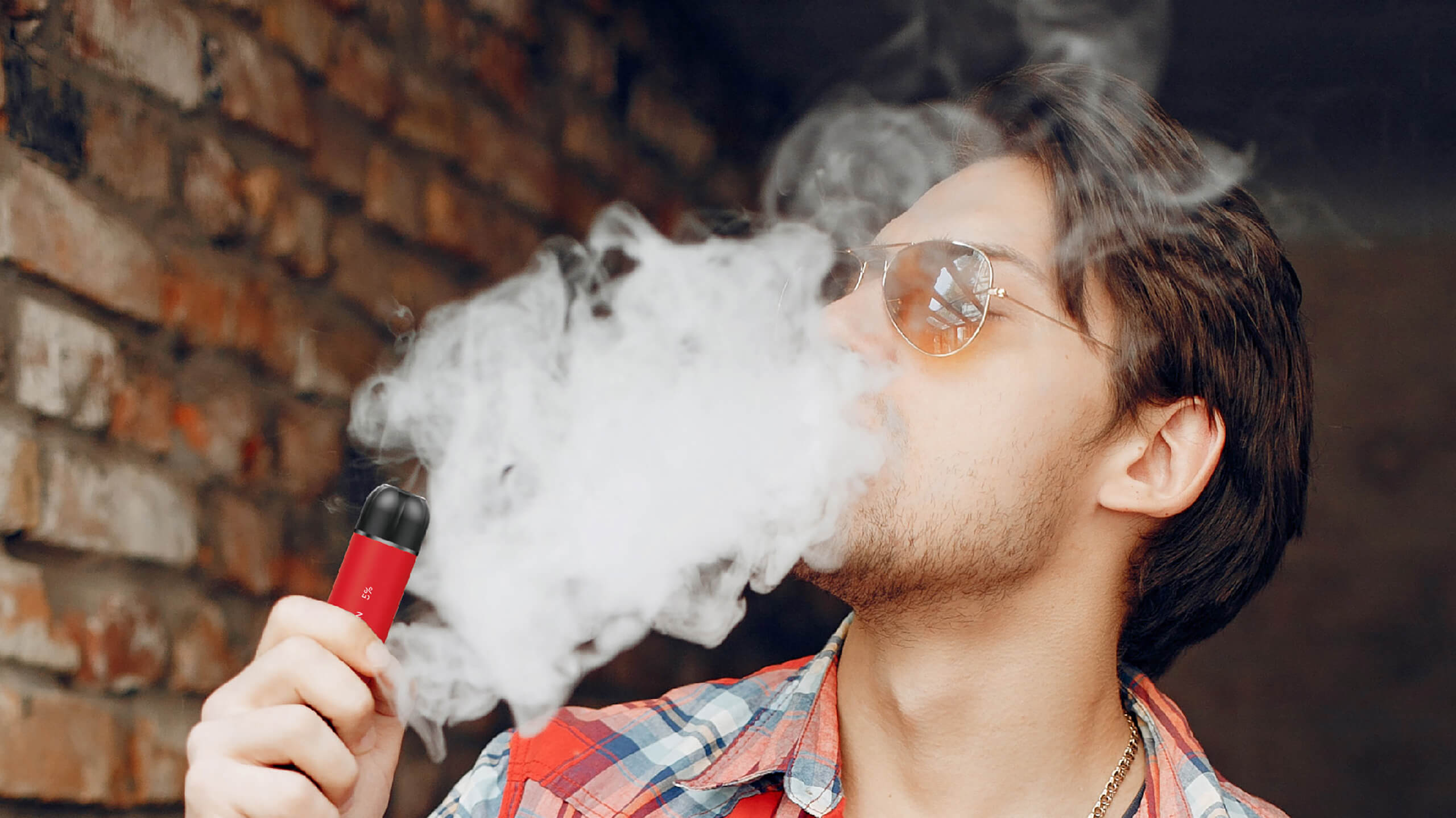 airis beast Functional Description 4